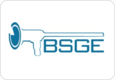 Logo featuring a key and the text BSGE.