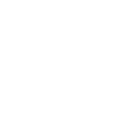 Frozen Embryo Transfer